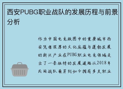 西安PUBG职业战队的发展历程与前景分析